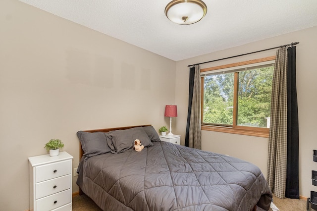 7230 Clear Rdg, Centerville, MN 55038 - view of carpeted bedroom