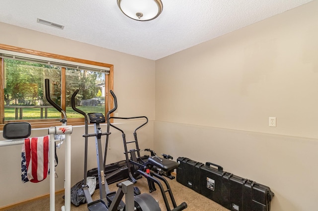 7230 Clear Rdg, Centerville, MN 55038 - workout room featuring carpet flooring and a textured ceiling