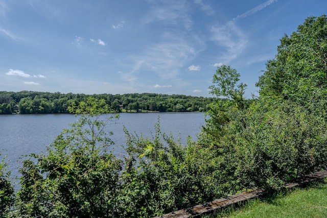 TBD Zebulon Shores Dr, Little Falls, MN 56345 - photo 12