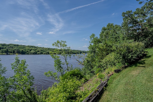 TBD Zebulon Shores Dr, Little Falls, MN 56345 - photo 21