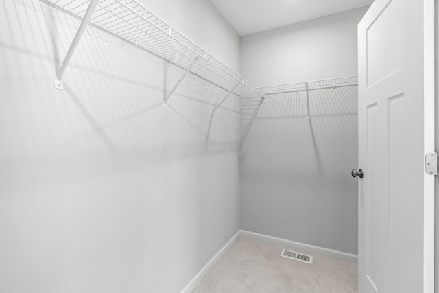 7614 Connie Ln, Inver Grove Heights, MN 55076 - spacious closet with carpet flooring