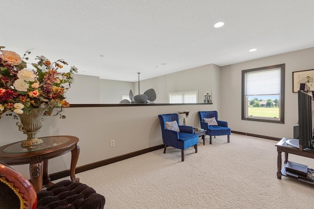 1706 Cannon Valley Dr, Northfield, MN 55057 - photo 30