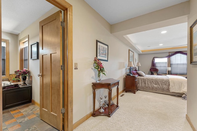 1706 Cannon Valley Dr, Northfield, MN 55057 - photo 35