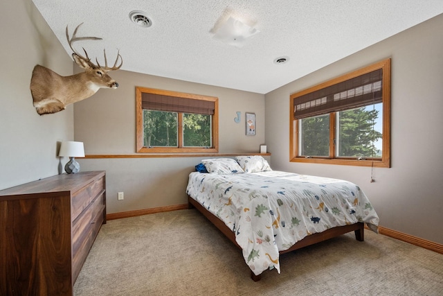 W5902 490th Ave, Ellsworth, WI 54011 - photo 25
