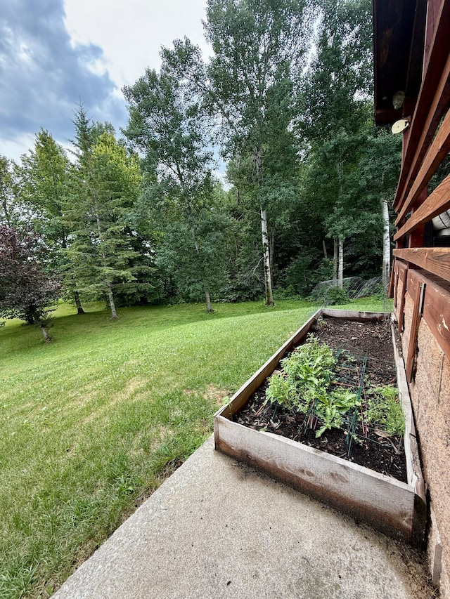 656 22nd Ave NW, Baudette Twp, MN 56623 - view of grassy yard with a garden