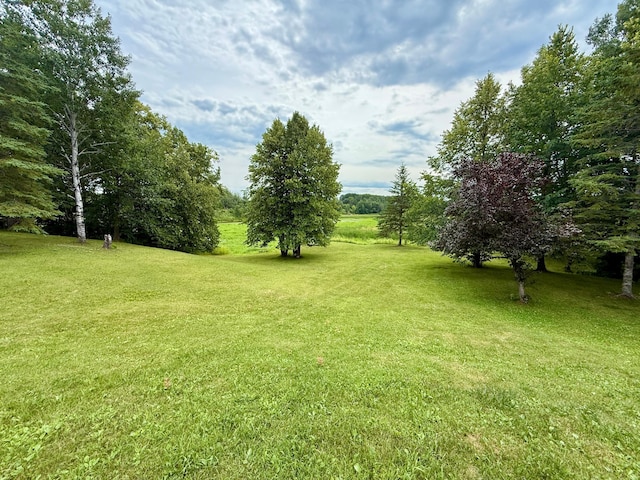 656 22nd Ave NW, Baudette Twp, MN 56623 - view of green lawn