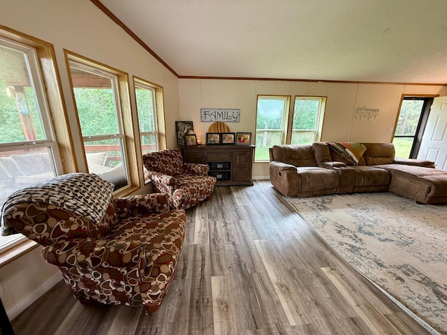656 22nd Ave NW, Baudette Twp, MN 56623 - living room featuring ornamental molding, vaulted ceiling, wood finished floors, healthy amount of natural light, and a textured ceiling