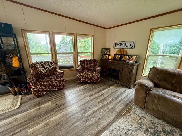 656 22nd Ave NW, Baudette Twp, MN 56623 - living room featuring lofted ceiling, ornamental molding, wood finished floors, and a textured ceiling