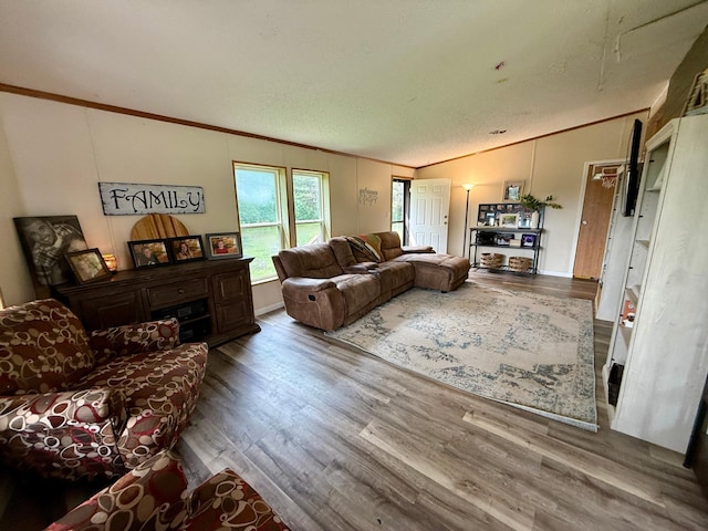 656 22nd Ave NW, Baudette Twp, MN 56623 - living room with ornamental molding, lofted ceiling, and wood finished floors