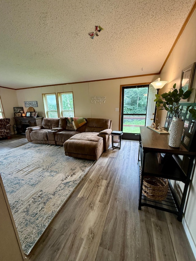 656 22nd Ave NW, Baudette Twp, MN 56623 - living room featuring a textured ceiling, wood finished floors, and crown molding