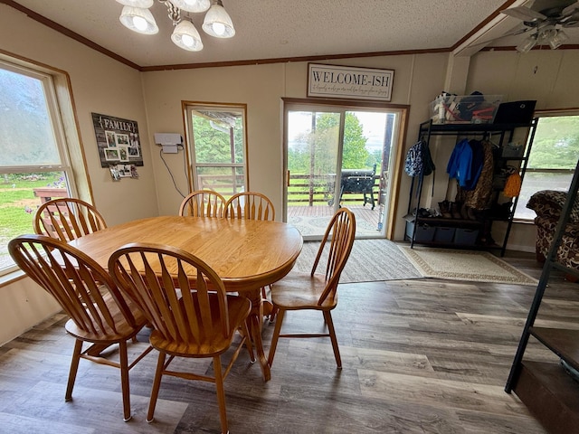 656 22nd Ave NW, Baudette Twp, MN 56623 - dining area with ornamental molding, wood finished floors, a chandelier, and ceiling fan