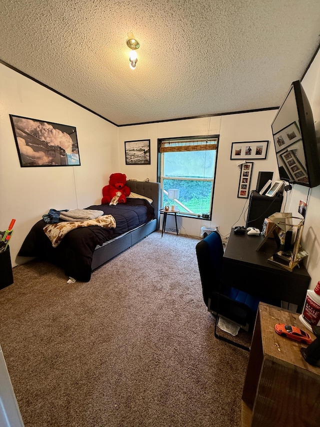 656 22nd Ave NW, Baudette Twp, MN 56623 - carpeted bedroom featuring a textured ceiling, lofted ceiling, and an office area