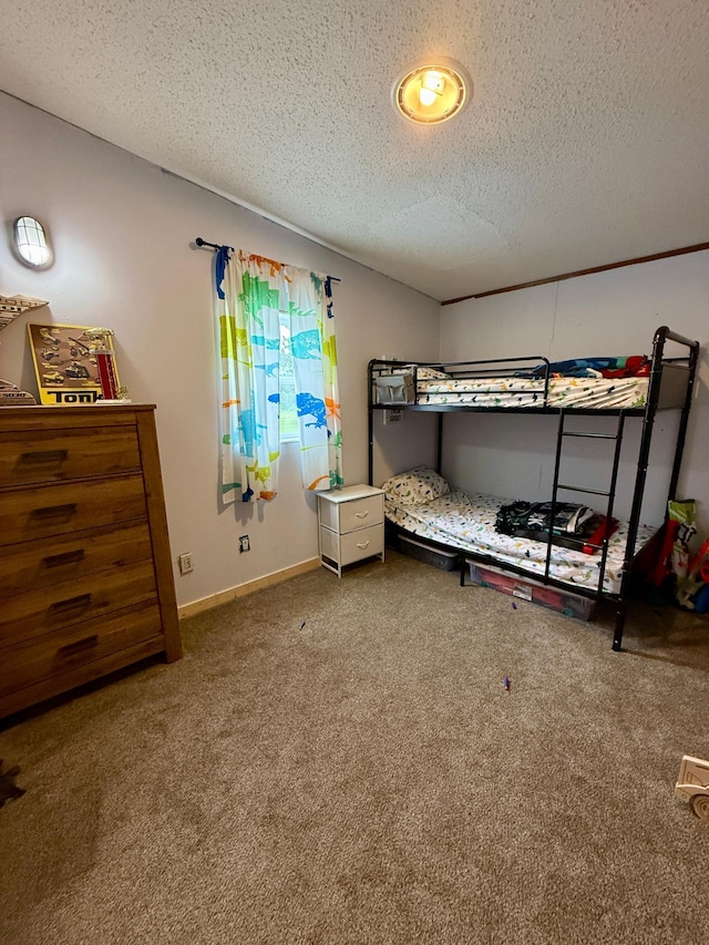 656 22nd Ave NW, Baudette Twp, MN 56623 - bedroom with carpet and a textured ceiling