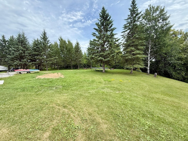 656 22nd Ave NW, Baudette Twp, MN 56623 - view of grassy yard