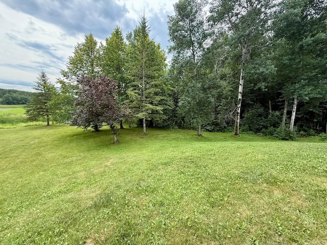 656 22nd Ave NW, Baudette Twp, MN 56623 - view of green lawn