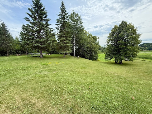 656 22nd Ave NW, Baudette Twp, MN 56623 - view of green lawn featuring a trampoline