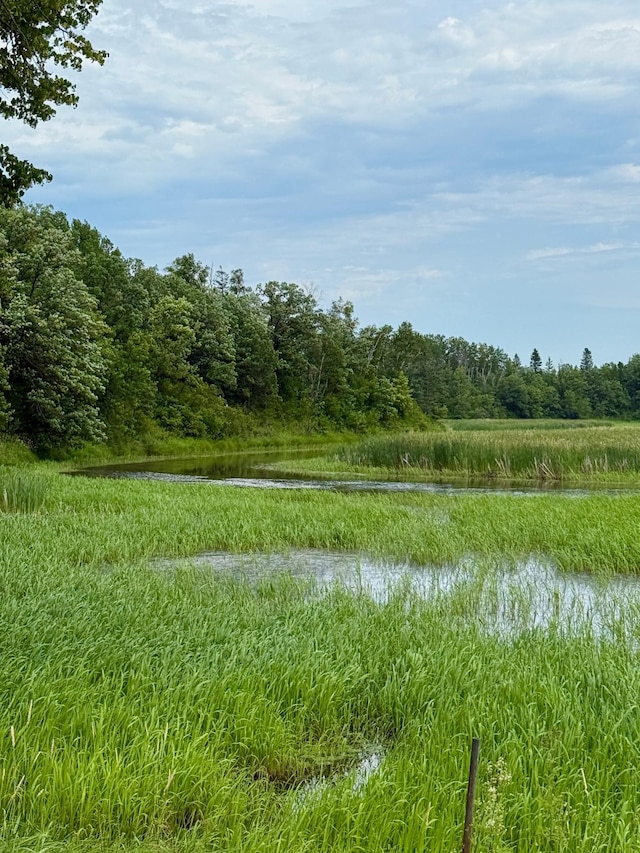 656 22nd Ave NW, Baudette Twp, MN 56623 - water view featuring a forest