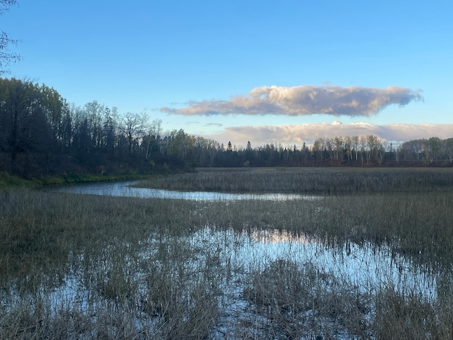 656 22nd Ave NW, Baudette Twp, MN 56623 - water view featuring a forest