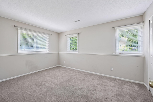 14170 Westridge Dr, Eden Prairie, MN 55347 - unfurnished room with carpet and a textured ceiling
