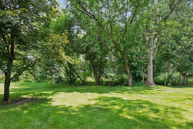 14170 Westridge Dr, Eden Prairie, MN 55347 - view of grassy yard