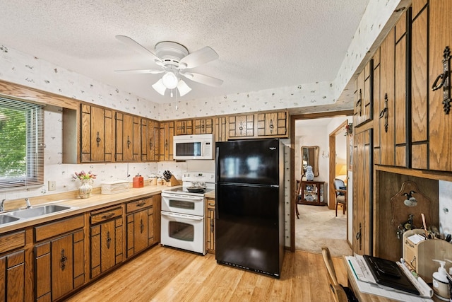 10738 Zopfi Way E, Maple Grove, MN 55369 - photo 12