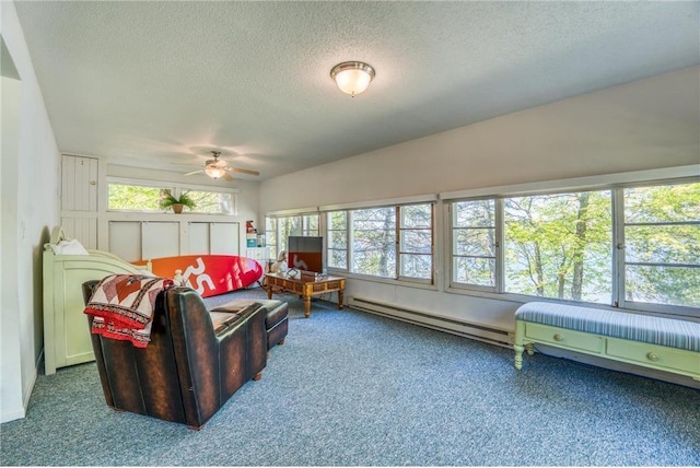 15225 Big Turtle Dr NE, Bemidji, MN 56601 - photo 40