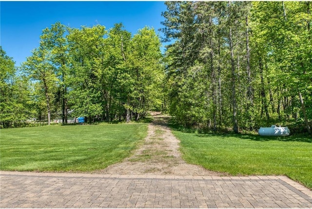 15225 Big Turtle Dr NE, Bemidji, MN 56601 - photo 52
