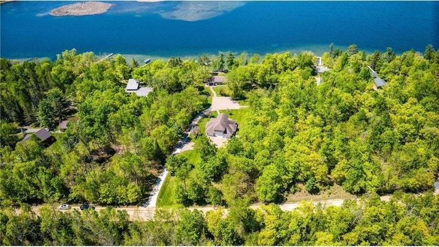 15225 Big Turtle Dr NE, Bemidji, MN 56601 - photo 73