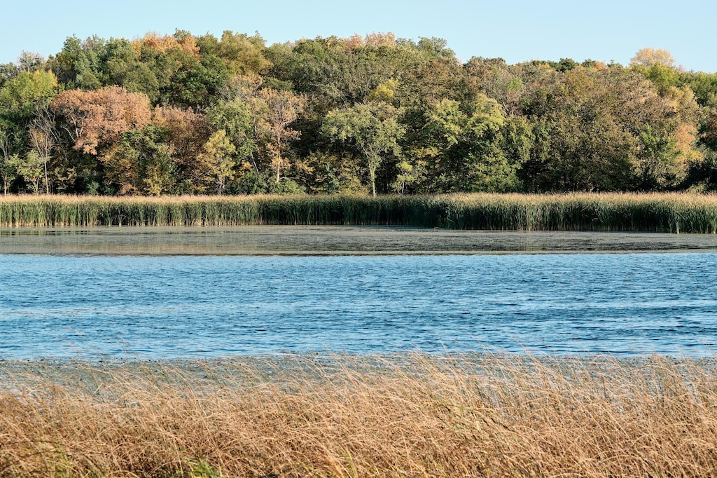 TractB 575th, Greenleaf Twp, MN 55355