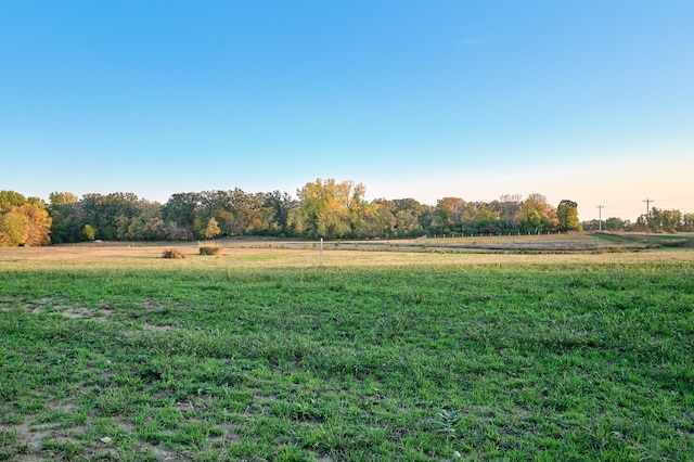 TractB 575th, Greenleaf Twp, MN 55355