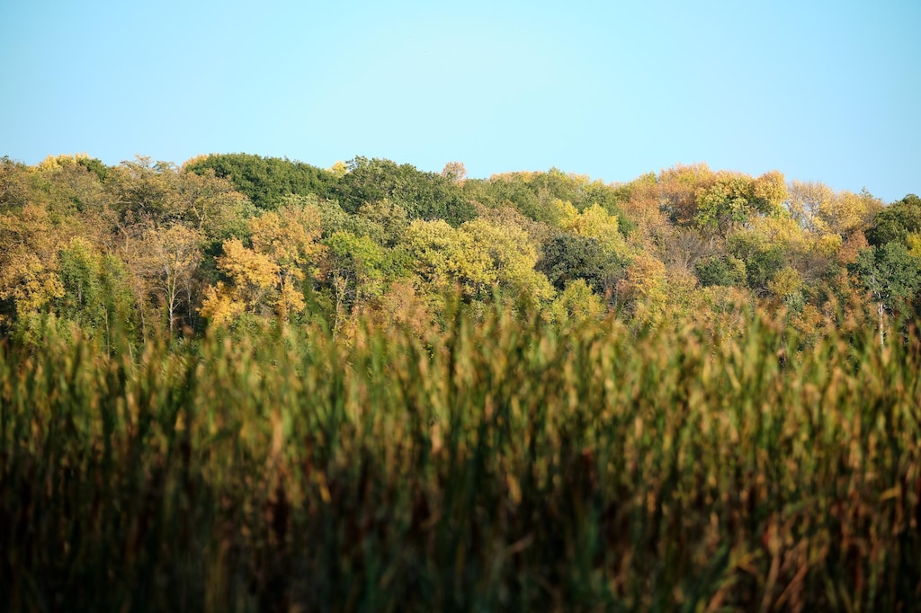TractB 575th, Greenleaf Twp, MN 55355