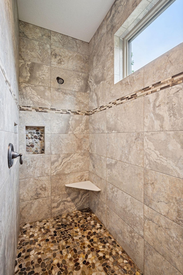 7461 Merrimac Ln N, Maple Grove, MN 55311 - full bathroom with a tile shower
