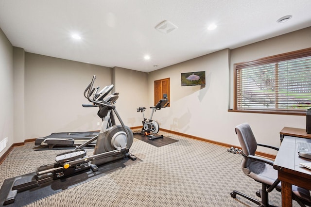 7461 Merrimac Ln N, Maple Grove, MN 55311 - workout room featuring carpet floors and recessed lighting