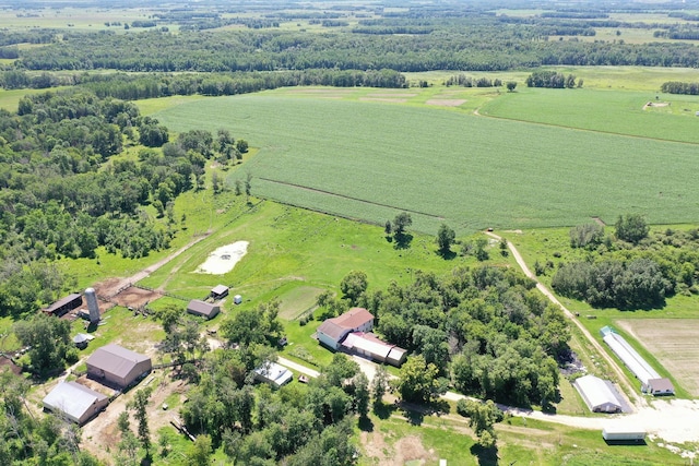 43724 County Highway 19, Blowers Twp, MN 56477 - view of rural area featuring farmland