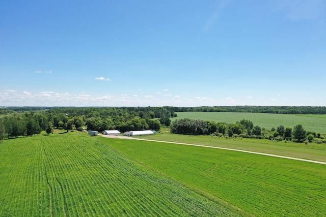 43724 County Highway 19, Blowers Twp, MN 56477 - overview of rural landscape