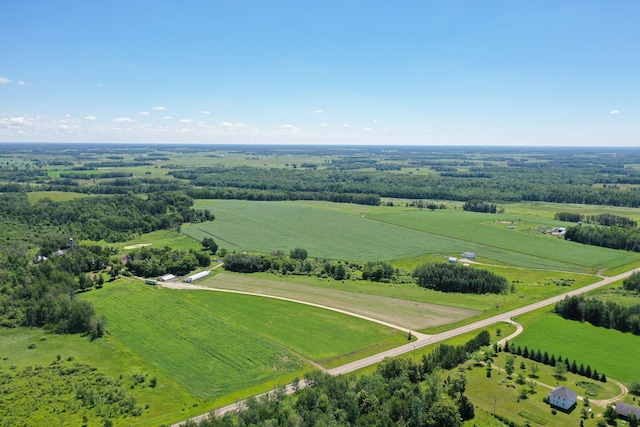 43724 County Highway 19, Blowers Twp, MN 56477 - overview of rural landscape