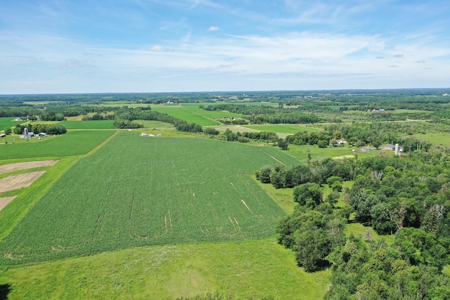 43724 County Highway 19, Blowers Twp, MN 56477 - aerial view of sparsely populated area with farmland