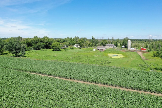 43724 County Highway 19, Blowers Twp, MN 56477 - view of yard with a view of countryside