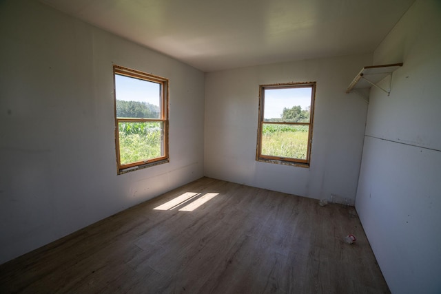43724 County Highway 19, Blowers Twp, MN 56477 - empty room featuring wood finished floors