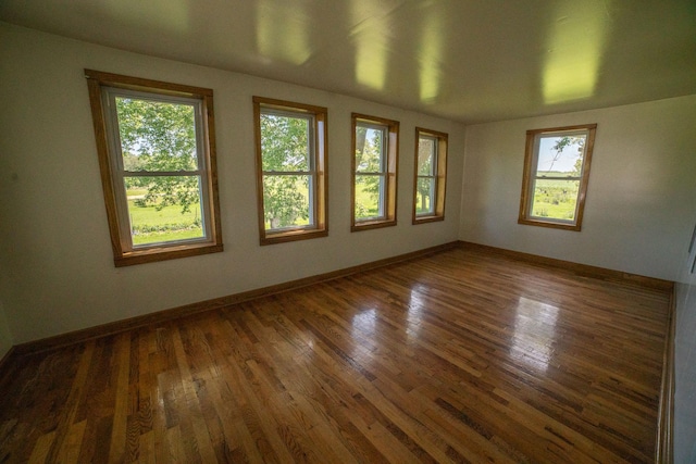 43724 County Highway 19, Blowers Twp, MN 56477 - spare room featuring plenty of natural light and wood finished floors