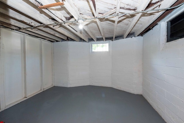 1702 Minnehaha Ave W, Saint Paul, MN 55104 - below grade area with concrete block wall