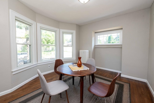 1702 Minnehaha Ave W, Saint Paul, MN 55104 - dining space with radiator heating unit and wood finished floors