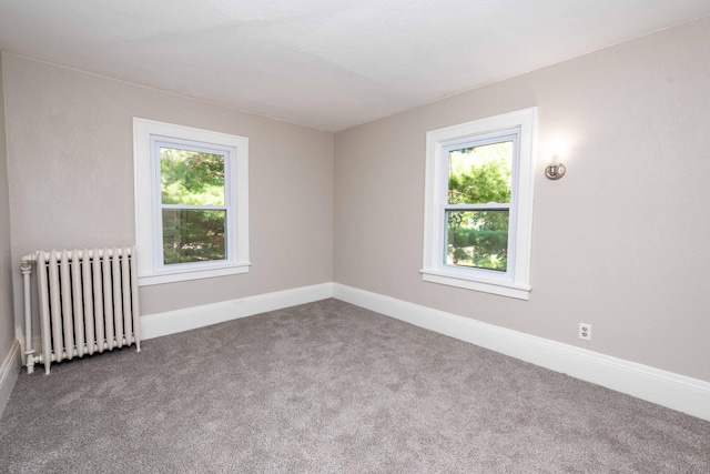 1702 Minnehaha Ave W, Saint Paul, MN 55104 - carpeted empty room featuring radiator and baseboards