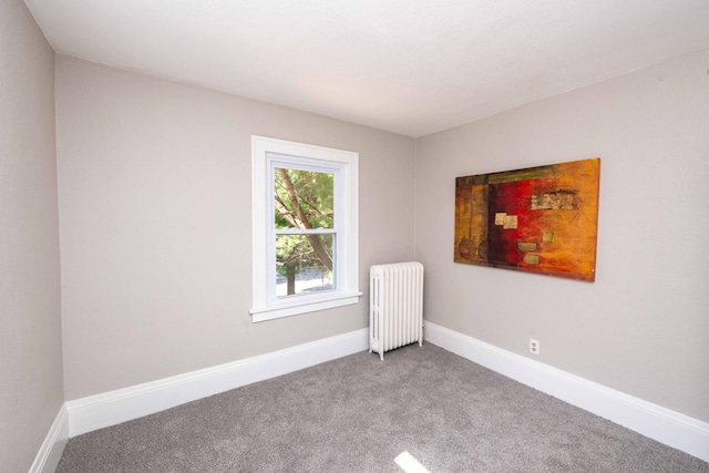 1702 Minnehaha Ave W, Saint Paul, MN 55104 - carpeted spare room with radiator heating unit and baseboards