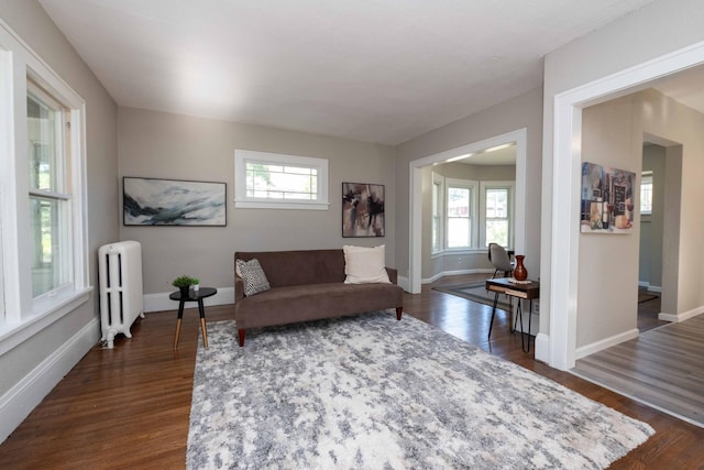1702 Minnehaha Ave W, Saint Paul, MN 55104 - living area featuring radiator heating unit and dark wood-style floors
