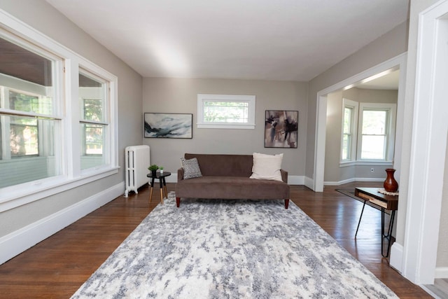 1702 Minnehaha Ave W, Saint Paul, MN 55104 - living room with radiator and dark wood finished floors