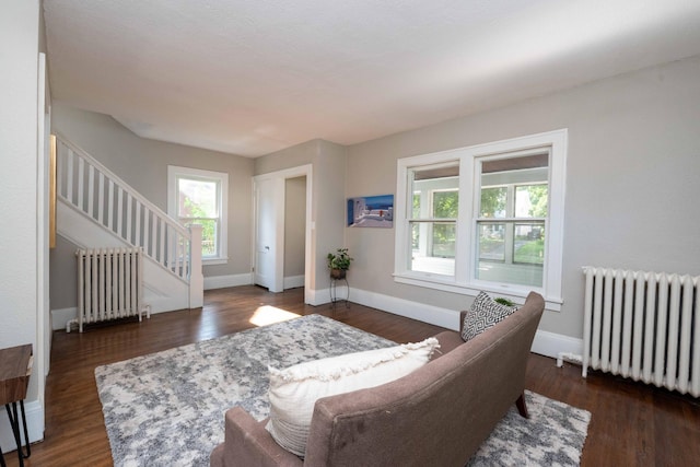 1702 Minnehaha Ave W, Saint Paul, MN 55104 - living area featuring radiator, stairs, and wood finished floors