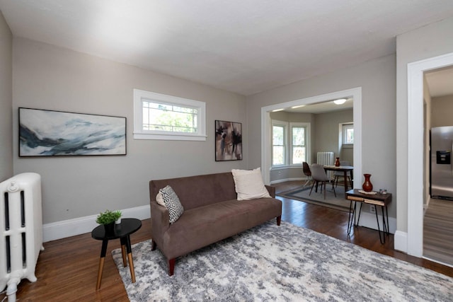 1702 Minnehaha Ave W, Saint Paul, MN 55104 - living room featuring radiator, plenty of natural light, and wood finished floors