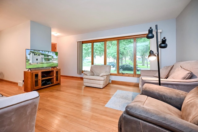 1314 Parkview Ave, Winona, MN 55987 - living room with light wood-style floors and baseboards