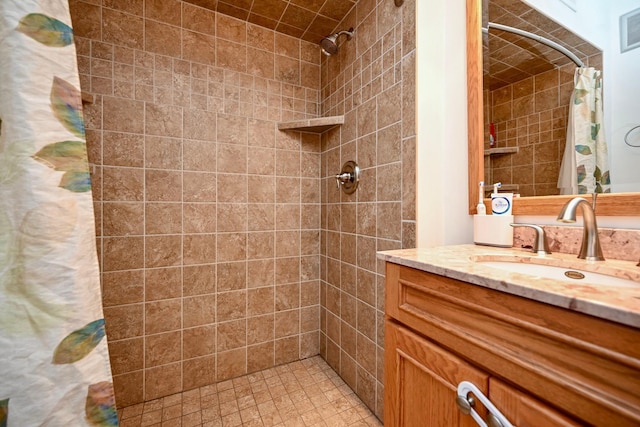 1314 Parkview Ave, Winona, MN 55987 - full bath with vanity and tiled shower